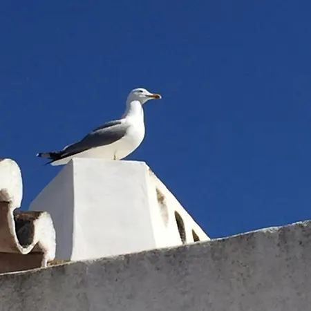 Oliver Apartamento *